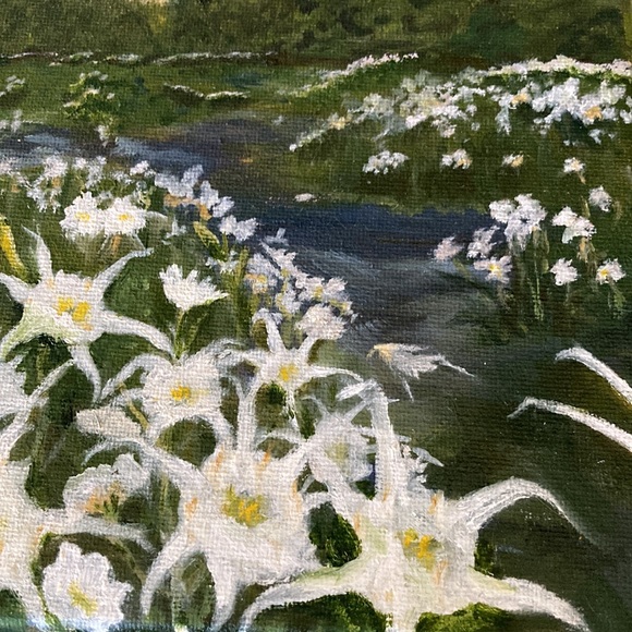 HANDCRAFTED OIL by me of Cahaba Lillies blooming in river, 8 x 10”. $260 - Picture 6 of 7